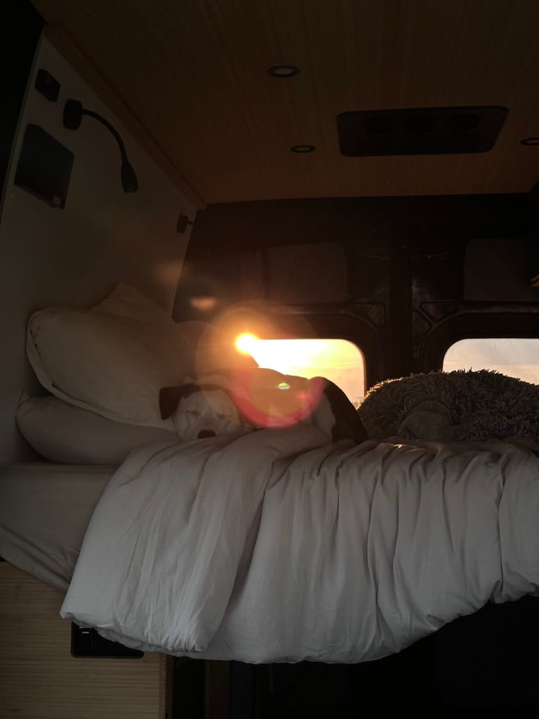 A dog sleeps in a camper van bed, the sun setting behind them.